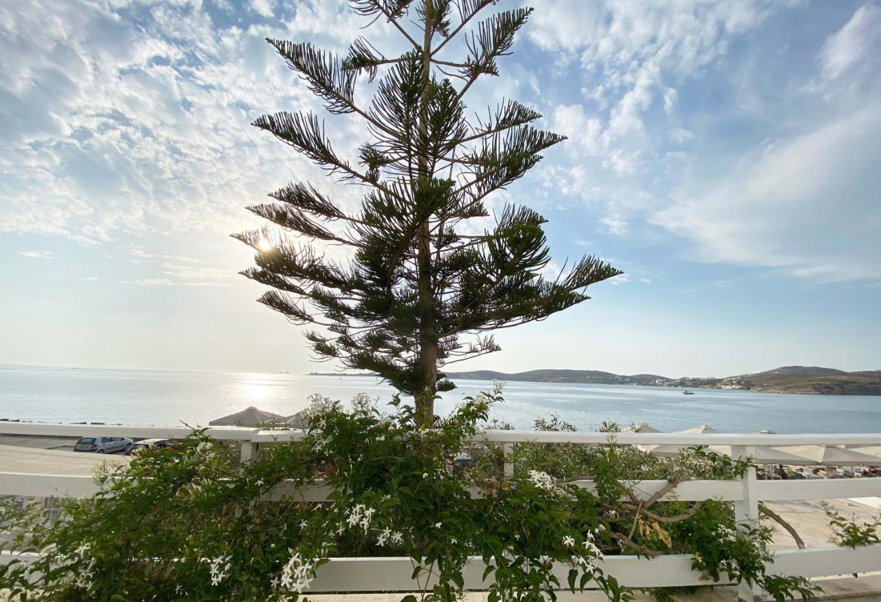 Lyra Seafront Apartment , Paroikia Town Center Exteriör bild